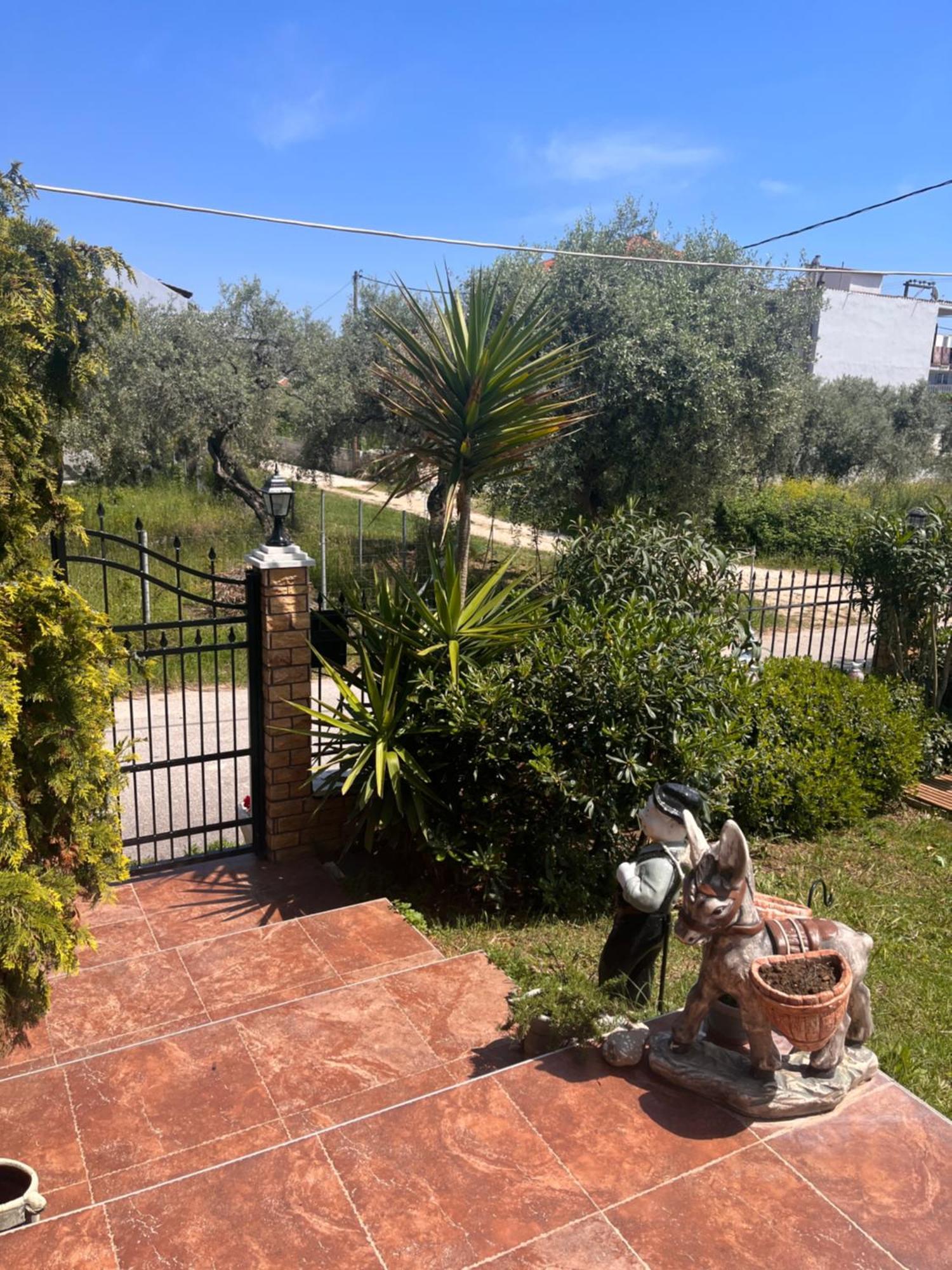 Alrose Daire Limenaria  Dış mekan fotoğraf